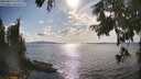 ./images/koeye/fitz-hugh/20250819/fitz-hugh20250819_171011M.jpg