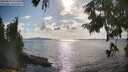 ./images/koeye/fitz-hugh/20250819/fitz-hugh20250819_171509M.jpg
