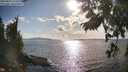 ./images/koeye/fitz-hugh/20250819/fitz-hugh20250819_173509M.jpg