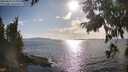 ./images/koeye/fitz-hugh/20250819/fitz-hugh20250819_174010M.jpg