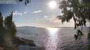 ./images/koeye/fitz-hugh/20250819/fitz-hugh20250819_174511M.jpg