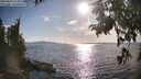 ./images/koeye/fitz-hugh/20250819/fitz-hugh20250819_175011M.jpg