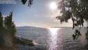 ./images/koeye/fitz-hugh/20250819/fitz-hugh20250819_175510M.jpg