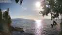./images/koeye/fitz-hugh/20250819/fitz-hugh20250819_180013M.jpg