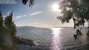 ./images/koeye/fitz-hugh/20250819/fitz-hugh20250819_180510M.jpg