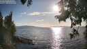 ./images/koeye/fitz-hugh/20250819/fitz-hugh20250819_181510M.jpg