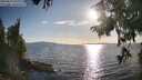 ./images/koeye/fitz-hugh/20250819/fitz-hugh20250819_182011M.jpg