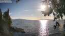 ./images/koeye/fitz-hugh/20250819/fitz-hugh20250819_182513M.jpg