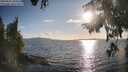 ./images/koeye/fitz-hugh/20250819/fitz-hugh20250819_183511M.jpg