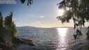 ./images/koeye/fitz-hugh/20250819/fitz-hugh20250819_184008M.jpg