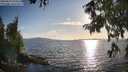 ./images/koeye/fitz-hugh/20250819/fitz-hugh20250819_184511M.jpg
