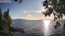 ./images/koeye/fitz-hugh/20250819/fitz-hugh20250819_185010M.jpg