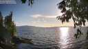 ./images/koeye/fitz-hugh/20250819/fitz-hugh20250819_185509M.jpg