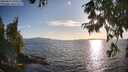 ./images/koeye/fitz-hugh/20250819/fitz-hugh20250819_190509M.jpg