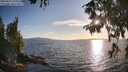 ./images/koeye/fitz-hugh/20250819/fitz-hugh20250819_191009M.jpg