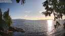 ./images/koeye/fitz-hugh/20250819/fitz-hugh20250819_191508M.jpg