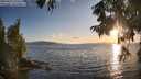 ./images/koeye/fitz-hugh/20250819/fitz-hugh20250819_194509M.jpg