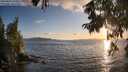 ./images/koeye/fitz-hugh/20250819/fitz-hugh20250819_195009M.jpg