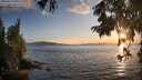 ./images/koeye/fitz-hugh/20250819/fitz-hugh20250819_200509M.jpg