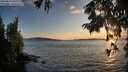 ./images/koeye/fitz-hugh/20250819/fitz-hugh20250819_201009M.jpg