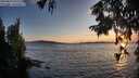./images/koeye/fitz-hugh/20250819/fitz-hugh20250819_201509M.jpg