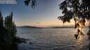 ./images/koeye/fitz-hugh/20250819/fitz-hugh20250819_202009M.jpg