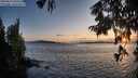 ./images/koeye/fitz-hugh/20250819/fitz-hugh20250819_202512M.jpg