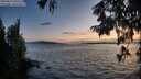 ./images/koeye/fitz-hugh/20250819/fitz-hugh20250819_203509M.jpg