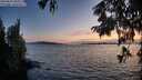 ./images/koeye/fitz-hugh/20250819/fitz-hugh20250819_204009M.jpg