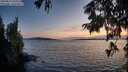 ./images/koeye/fitz-hugh/20250819/fitz-hugh20250819_204508M.jpg