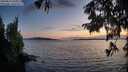 ./images/koeye/fitz-hugh/20250819/fitz-hugh20250819_205009M.jpg
