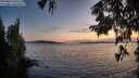 ./images/koeye/fitz-hugh/20250819/fitz-hugh20250819_205509M.jpg