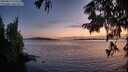 ./images/koeye/fitz-hugh/20250819/fitz-hugh20250819_210506M.jpg