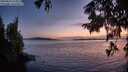 ./images/koeye/fitz-hugh/20250819/fitz-hugh20250819_211010M.jpg