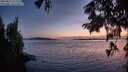 ./images/koeye/fitz-hugh/20250819/fitz-hugh20250819_211509M.jpg