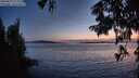 ./images/koeye/fitz-hugh/20250819/fitz-hugh20250819_212010M.jpg