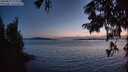 ./images/koeye/fitz-hugh/20250819/fitz-hugh20250819_212512M.jpg