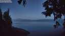 ./images/koeye/fitz-hugh/20250820/fitz-hugh20250820_054509M.jpg