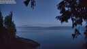 ./images/koeye/fitz-hugh/20250820/fitz-hugh20250820_055009M.jpg