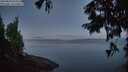 ./images/koeye/fitz-hugh/20250820/fitz-hugh20250820_055509M.jpg
