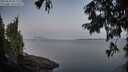 ./images/koeye/fitz-hugh/20250820/fitz-hugh20250820_061510M.jpg