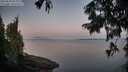./images/koeye/fitz-hugh/20250820/fitz-hugh20250820_062011M.jpg
