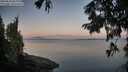 ./images/koeye/fitz-hugh/20250820/fitz-hugh20250820_063011M.jpg