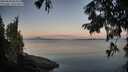 ./images/koeye/fitz-hugh/20250820/fitz-hugh20250820_063509M.jpg