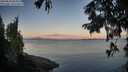 ./images/koeye/fitz-hugh/20250820/fitz-hugh20250820_064509M.jpg