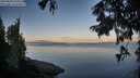 ./images/koeye/fitz-hugh/20250820/fitz-hugh20250820_070509M.jpg