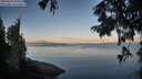 ./images/koeye/fitz-hugh/20250820/fitz-hugh20250820_071011M.jpg