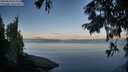 ./images/koeye/fitz-hugh/20250820/fitz-hugh20250820_071511M.jpg