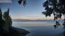 ./images/koeye/fitz-hugh/20250820/fitz-hugh20250820_072010M.jpg