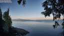 ./images/koeye/fitz-hugh/20250820/fitz-hugh20250820_073011M.jpg